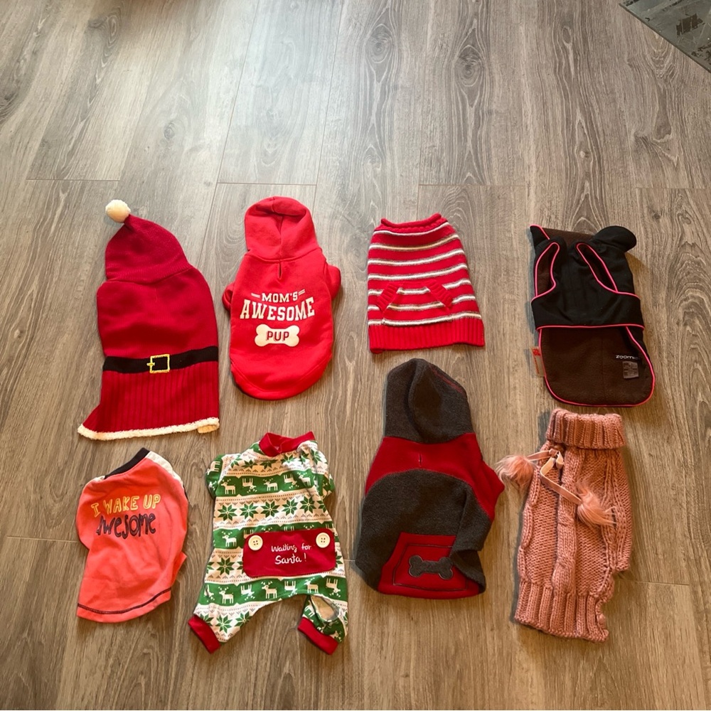 Santa Dog Sweater - Red